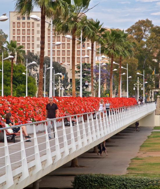 342806-Flower-Bridge